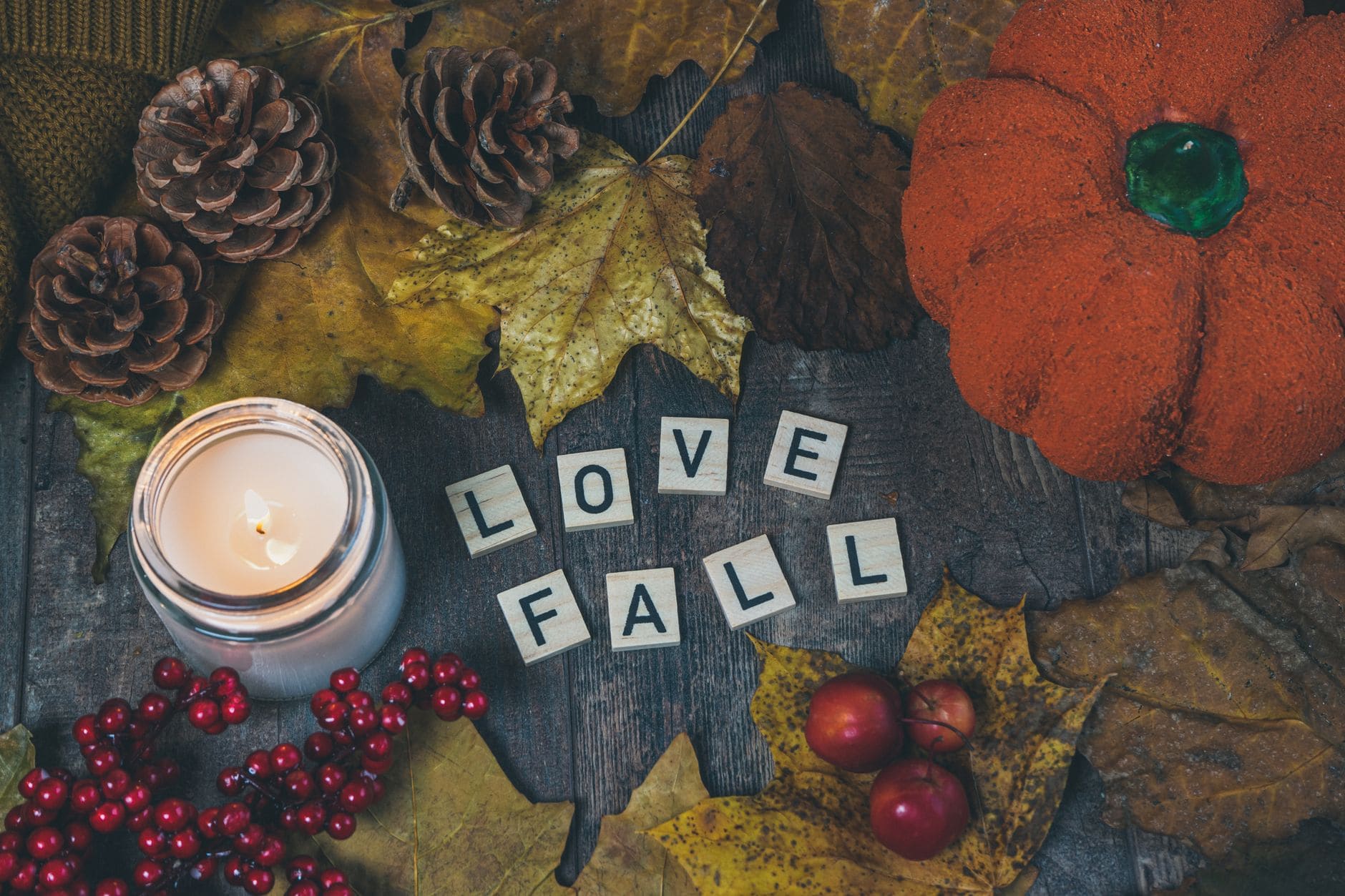 close up shot of autumn decorations