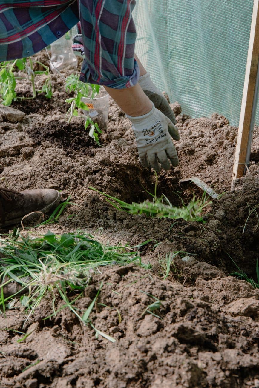 close up of a woman gardening
